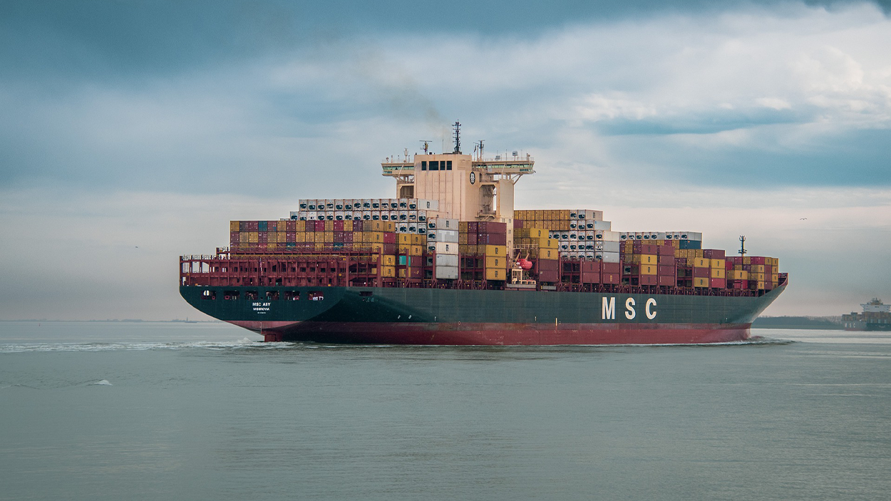 New Network 2025 | DSV Transportation & Logistics