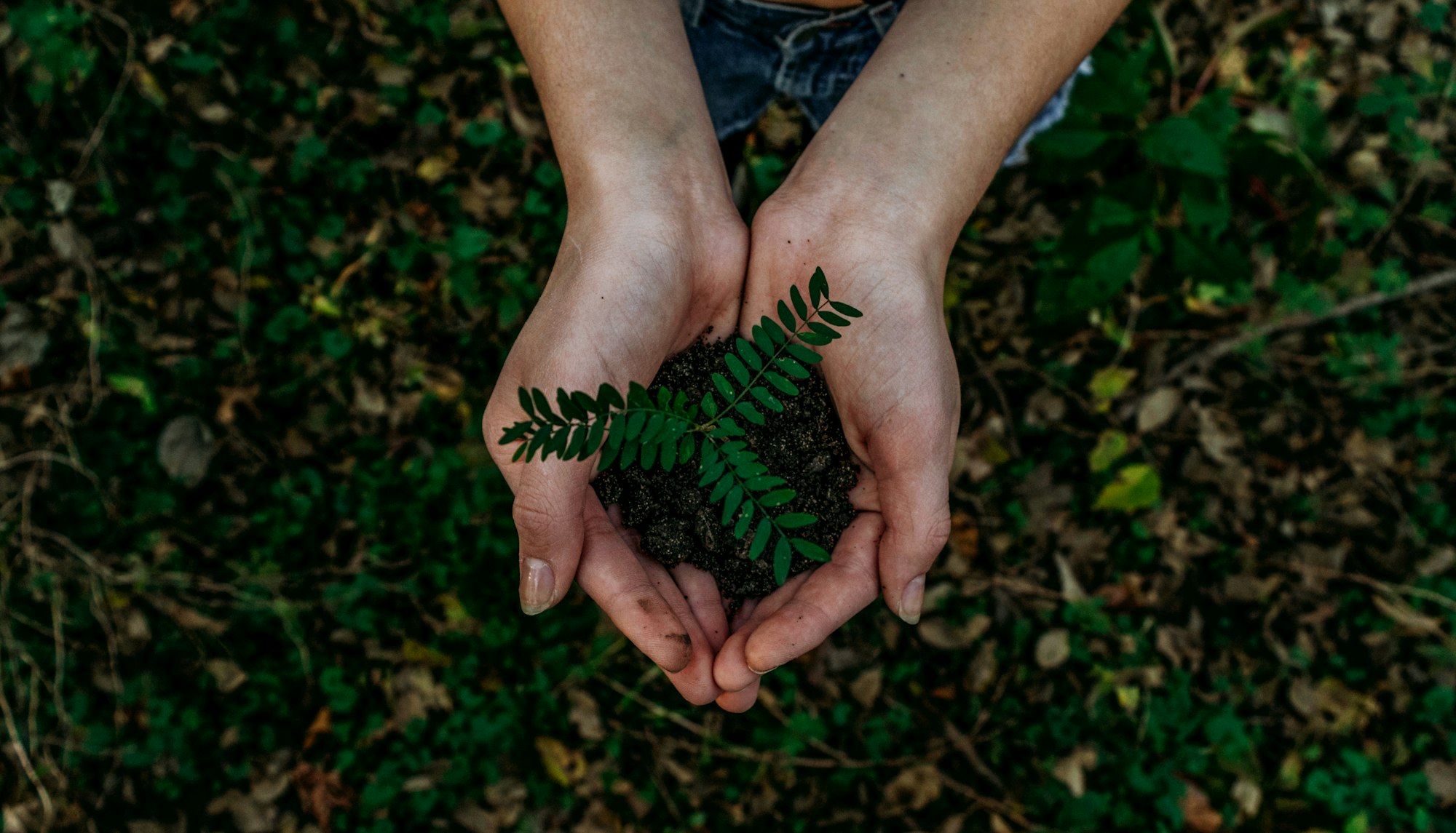 Navigating the Future: Key Trends in Sustainable Supply Chains by 2026