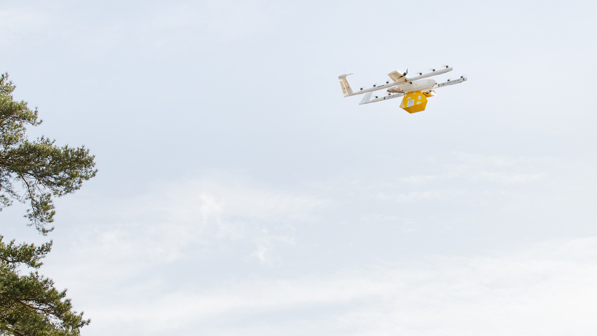 Wing Launches Drone Delivery in Bay Area: 750,000+ Deliveries Completed