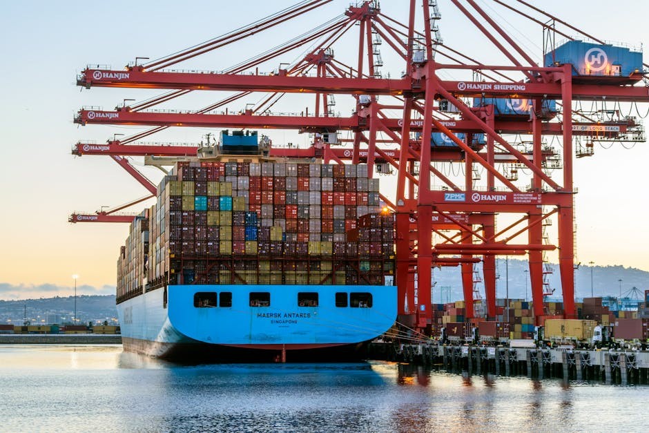 CBP Tariff Refund Process: Up to 45 Days for Returns, Supply Chain Firms Need Advance Planning