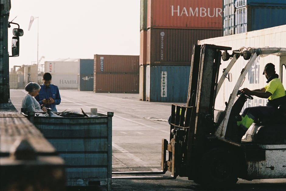 IFS Acquires Softeon: 4 Strategic Shifts in WMS