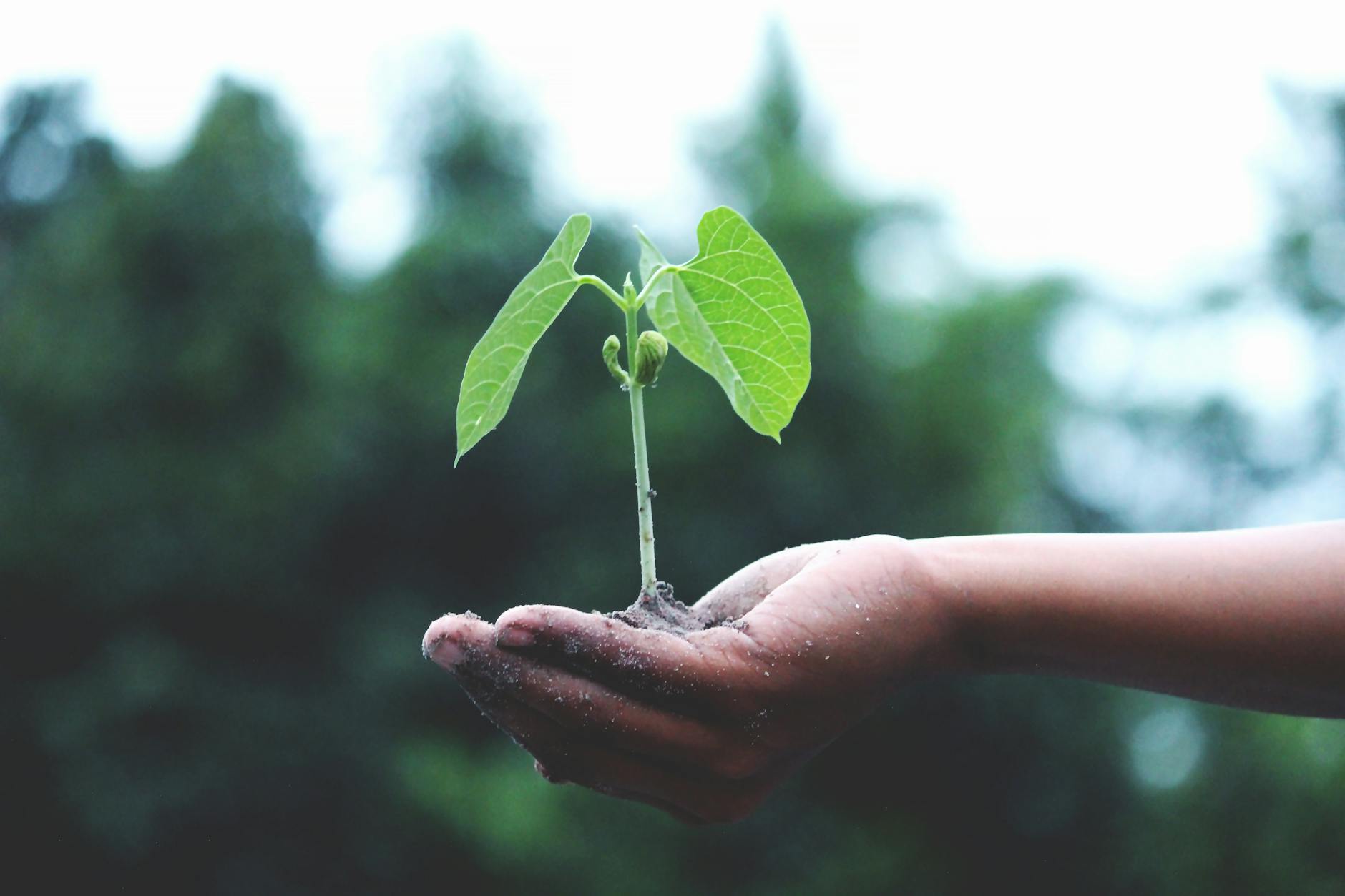 2026 ESG Supply Chain Compliance: 7-Step Action Plan