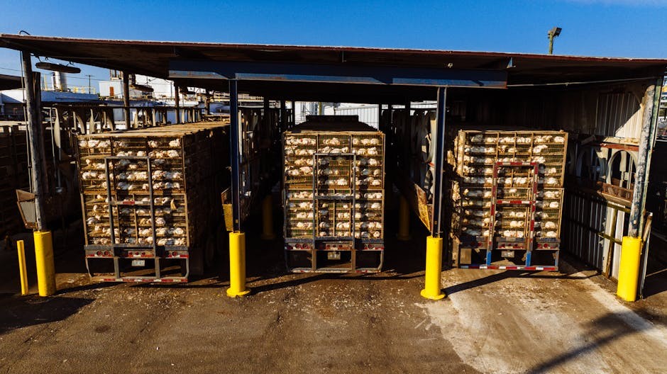 2025 US Tariff & Export Control Shifts Reshape Global Supply Chains