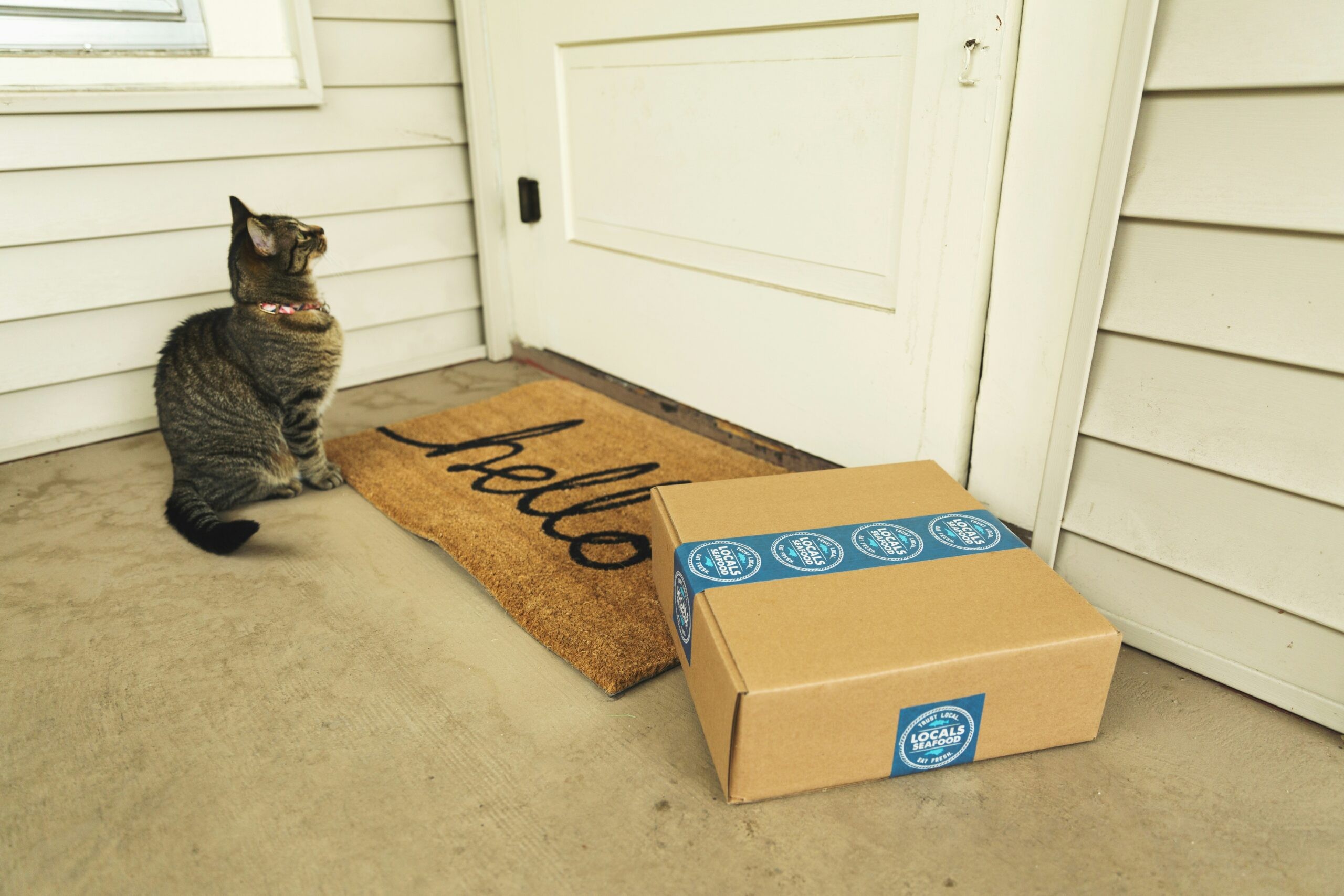 Last Mile Delivery to Hit $250B by Early 2030s: AI and Robots Reshape Retail Logistics