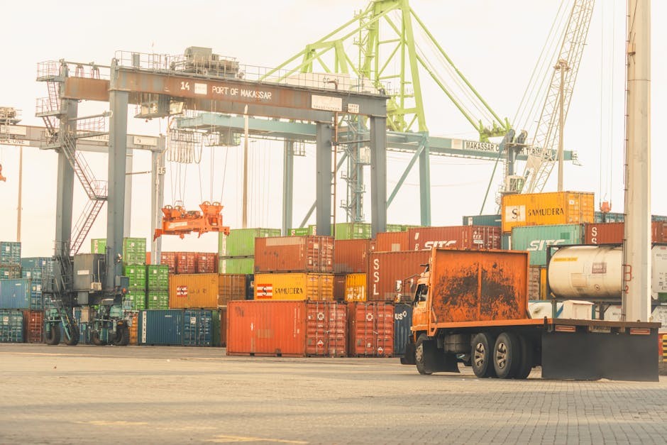 UAE自贸区合规要求升级：海关审查趋严，企业面临审计风险