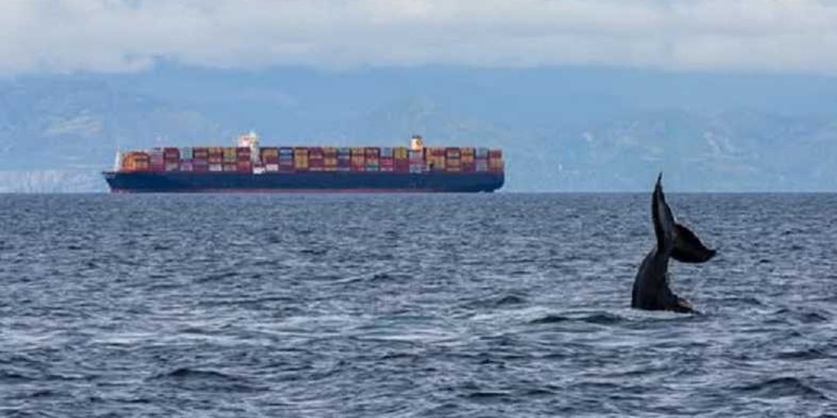 Oakland Port March Container Volume Up 7.1%