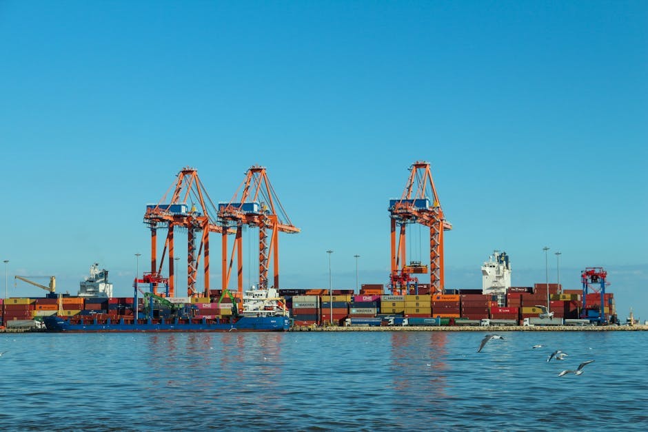 JNPA最大集装箱码头吞吐承压，4月中转箱量达64000TEU — The Loadstar