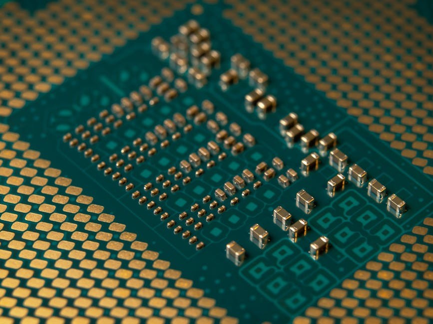 印度UAE加强合作应对供应链中断，共建区域贸易韧性