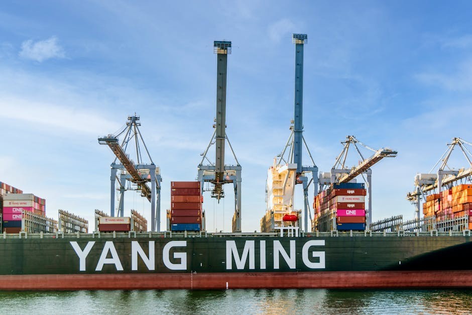 亚马逊开放全链路物流服务冲击快递股 — seekingalpha.com