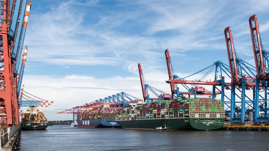 AD Ports Group收购MBS Logistics，强化欧洲亚洲物流网络