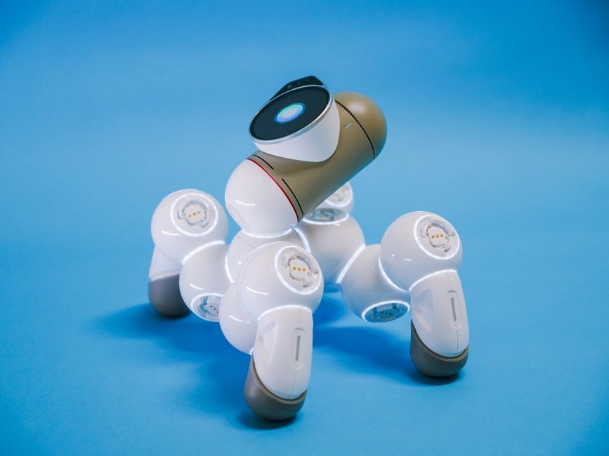 Ambi Robotics 联手 Pickle Robot，打通仓内卸货到码垛全流程