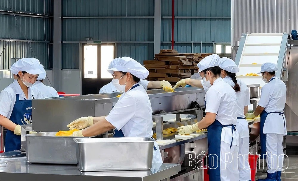 越南富寿省企业借力EVFTA出口欧盟，6个月进出口额达48.77亿美元