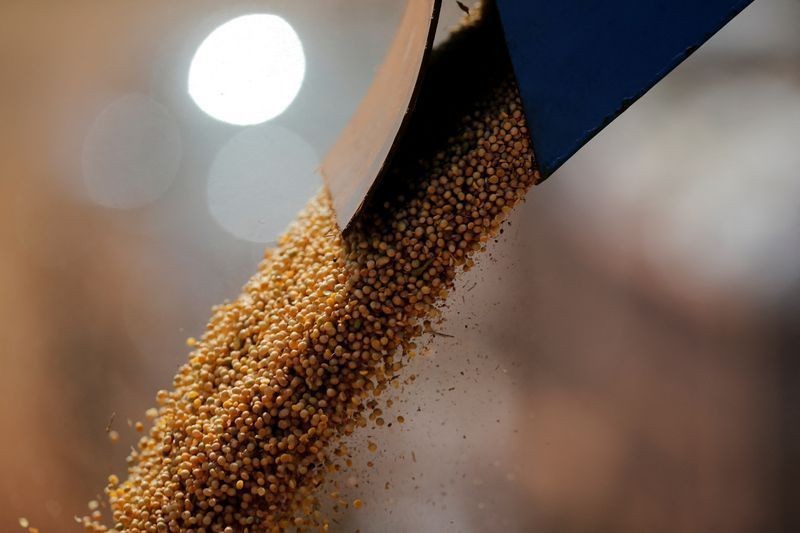 China imports 1.26M tons U.S. soy; Brazil holds 90% share