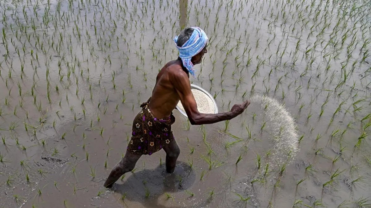 India’s soluble fertilizer prices surge 100% to $1,600/tonne