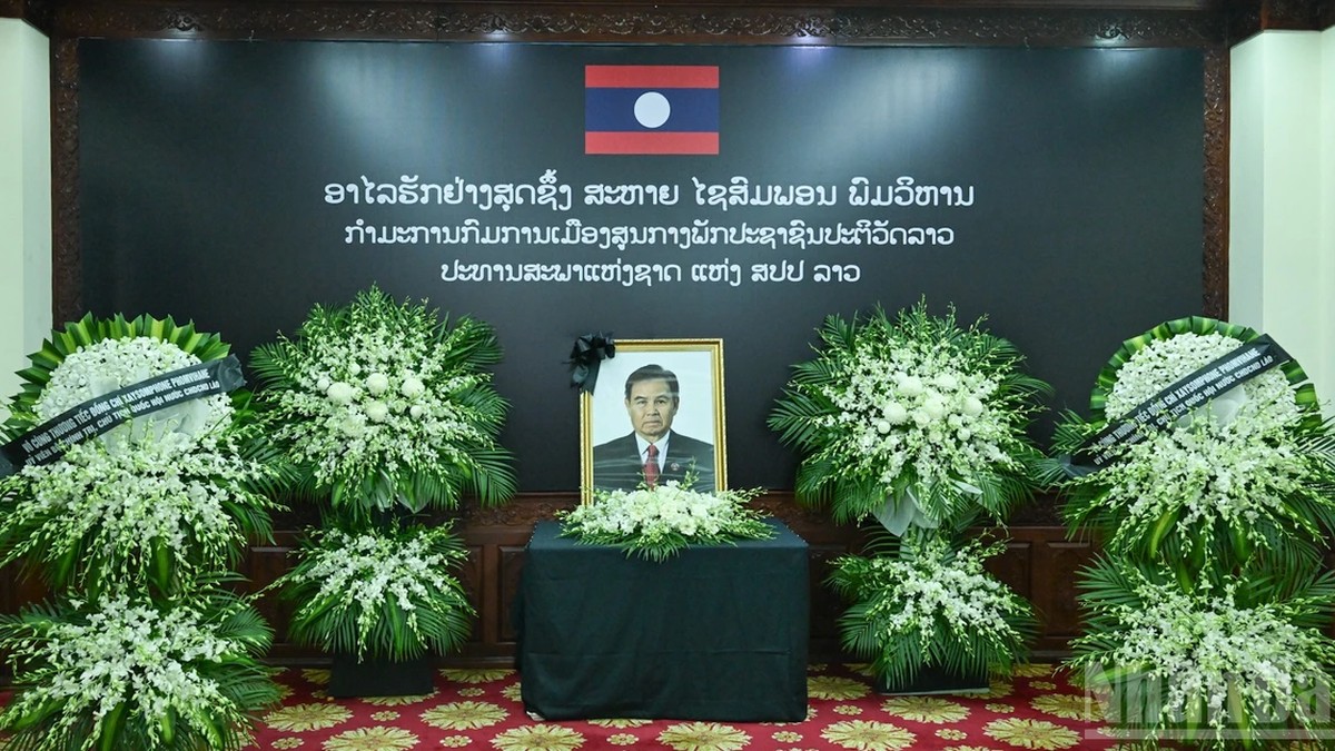 中越供应链投资互补性凸显，半导体合作从研发转向落地